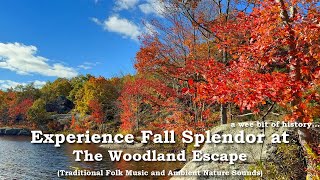 Experience Fall Splendor at The Woodland Escape | Traditional Folk Music \u0026 Ambient Nature Sounds