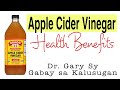 Apple Cider Vinegar Health Benefits & Risks - Dr. Gary Sy