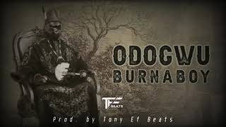 Burna boy - Odogwu instrumental 2020 ( prod. by Tony Ef Beats )