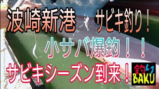 波崎新港でサビキ釣り！小サバ爆釣！！