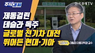 제동걸린 테슬라 독주 글로벌 전기차 대전 뛰어든 현대·기아(김필수)/ 주식경제 이슈분석 / 한국경제TV