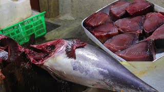 Most popular HUGE TUNA fish cutting \u0026 Slicing | AMAZING CUTTING | FISH CUTTERMAN