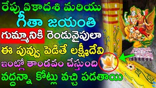 రేపు ఏకాదశి ,గీతా జయంతి గుమ్మానికి రెండువైపులా ఈ పువ్వు పెడితే లక్ష్మీదేవి ఇంట్లో తాండవం చేస్తుంది