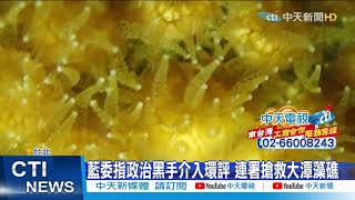 【整點精華】20210224 怒! 天然氣站毀藻礁 張曉風嗆政府:這要下地獄