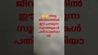 നിത്യ ജീവിതത്തിൽ ഇത് ചെല്ലിയാൽ 🤲🤲#short