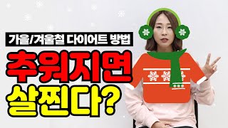 [겨울철 다이어트] 추워지면 살찐다? NO! 시기에 맞는 다이어트 방법 대공개!