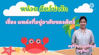 หน่วยสัตว์น่ารัก เรื่องแหล่งที่อยู่อาศัยของสัตว์ป.1