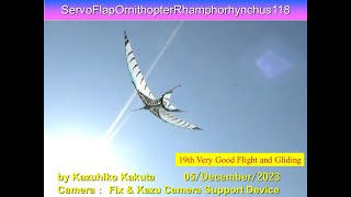 サーボ駆動翼竜型羽ばたき機　ServoFlapOrnithopterRhamphorhynchus118 43g :19th very Good Flight and Gliding