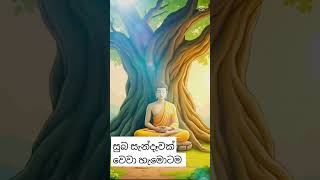 ඔබ සියලු දෙන හට නිදුක් නිරොගි වෙන සුබ සැන්දෑවක් වෙවා 🙏🙏🙏🌼🌼🌼