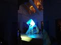 Marshmello Wynn New Years Eve 2018
