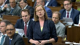 ‘Wild’ accusations over social media in elections rile question period