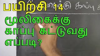 முறைப்படி மூலிகைக்கு  காப்பு கட்டுவது எப்படி என்பதை பார்ப்போம்?|666 mantra