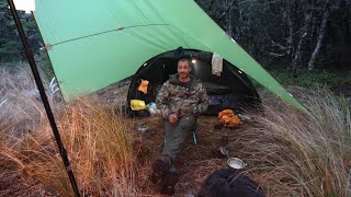 CAMPING in RAIN on Mountain - Dog - TENT and TARP