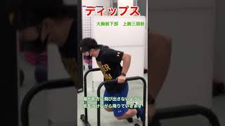 大胸筋下部を刺激するならこれ！ディップス