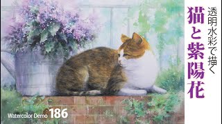 水彩画制作.186（猫と紫陽花を描く）ムッチーWATERCOLOR PROCESS-186