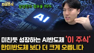 한미반도체보다 더 크게 오를 AI반도체 '이 주식' 미친듯 성장합니다[인생주식]