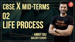 Mid-term Class 10 | Life Process | by Amrit Raj Sir