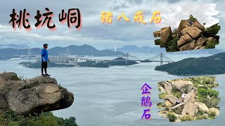 桃坑峒｜豬八戒石｜企鵝石｜大欖涌水塘主壩｜小欖山｜山行者100 [香港行山郊遊路線]