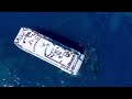 curious humpback whale approaching the boat 🐋