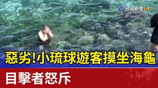 惡劣！小琉球遊客摸坐海龜 目擊者怒斥