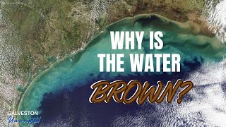 Texas beaches are misunderstood