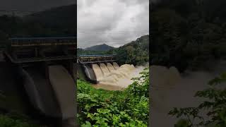 ഈ ഡാം ഏതാണെന്നു അറിയാമോ 🥰#shorts #shortvideo #malayalam #idukki #highrange