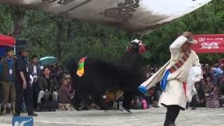 Tibetan opera highlights Tibet's Shoton Festival