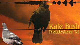 Kate Bush - Extended Cuts: 51 - Prelude/Aerial Tal