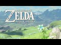 Relaxing Zelda Music for Study/Chill/Sleep (+Echoes of Wisdom)