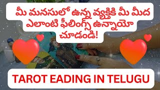 tarot reading in telugu | 💯❤️ మీ మనసులో ఉన్న వ్యక్తికి మీ మీద ఎలాంటి ఫీలింగ్స్ ఉన్నాయో చూడండి!