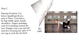 Quadruped Bent-knee Hip Extensions