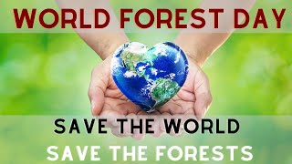 world forest day 2022 | forestry day | essay on world forest day | international day of forest 2022