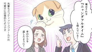 【漫画】猫カフェ物語　スコティッシュフォールド編【マンガ動画】