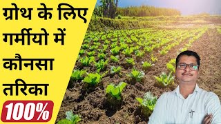 फसल के ग्रोथ के लिए गर्मी में कौनसे तरीके अपनाए । plant growth in summer ☀️