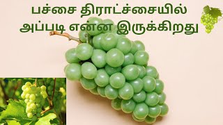 Unknown Benefits of Green Grapes | பச்சை திராட்சையின் பயன்கள் | நன்மைகள் | மருத்துவ குணங்கள்