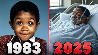 Try Not to Cry When You See What Happened to Webster Cast