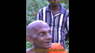 කූරගල ඓතිහාසික මහ බෙහෙත් ගස බලංගොඩ Kuragala Historical Great Medicinal Tree at Balangoda