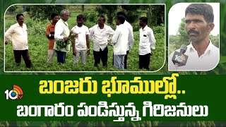 Crops in Barren Lands | బంజరు భూముల్లో..బంగారం పండిస్తున్న గిరిజనులు | Matti Manishi | 10TV News