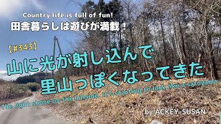 【#343】山に光が射し込んで　里山っぽくなってきた！