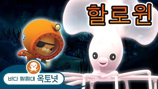 바다 탐험대 옥토넛 - # 핼러윈 | 거대한 바다 괴물 - 모음집