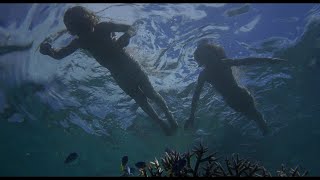 The Blue Lagoon (1980) - 3 - Surviving and Adapting