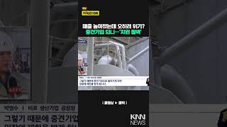 10년째 미개정, 현실성없는 법에 기업 발목 / KNN