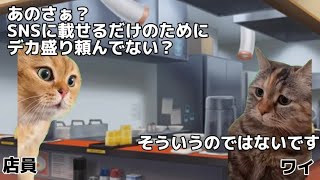 【猫ミーム】女1人でマシマシ二郎系ラーメンを食べに行ったら…【実話】#猫ミーム #猫meme #猫マニ