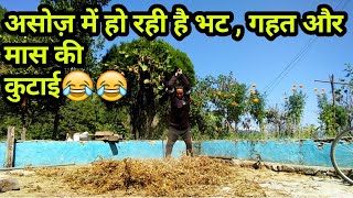 असोज में हो गई मास और भट्ट की कूटाई😂😂😂||asoj special||village lifestyle||flying pahadi||uttarakahnd