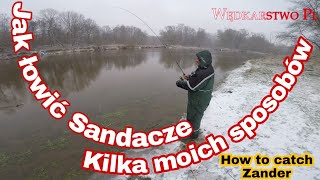 Jak łowić Sandacze, uczę kolegę , prowadzić przynętę i gdzie ich szukać na rzece How to catch Zander