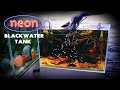 Aquascape Tutorial: NEON TETRA Blackwater Aquarium (How To: Step By Step Fish Tank Build Guide)