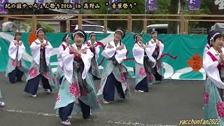 泉州ソーリャ踊り子隊　芳花爛漫、紀の国やっちょん祭り20th　in　高野山　\