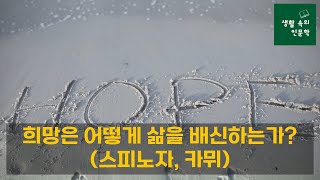 희망이 희망고문이 되는 이유(희망의 배신)