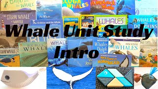 Whale Unit Study - Intro