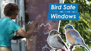🐦🏠 How to Make Your Windows More Bird Friendly